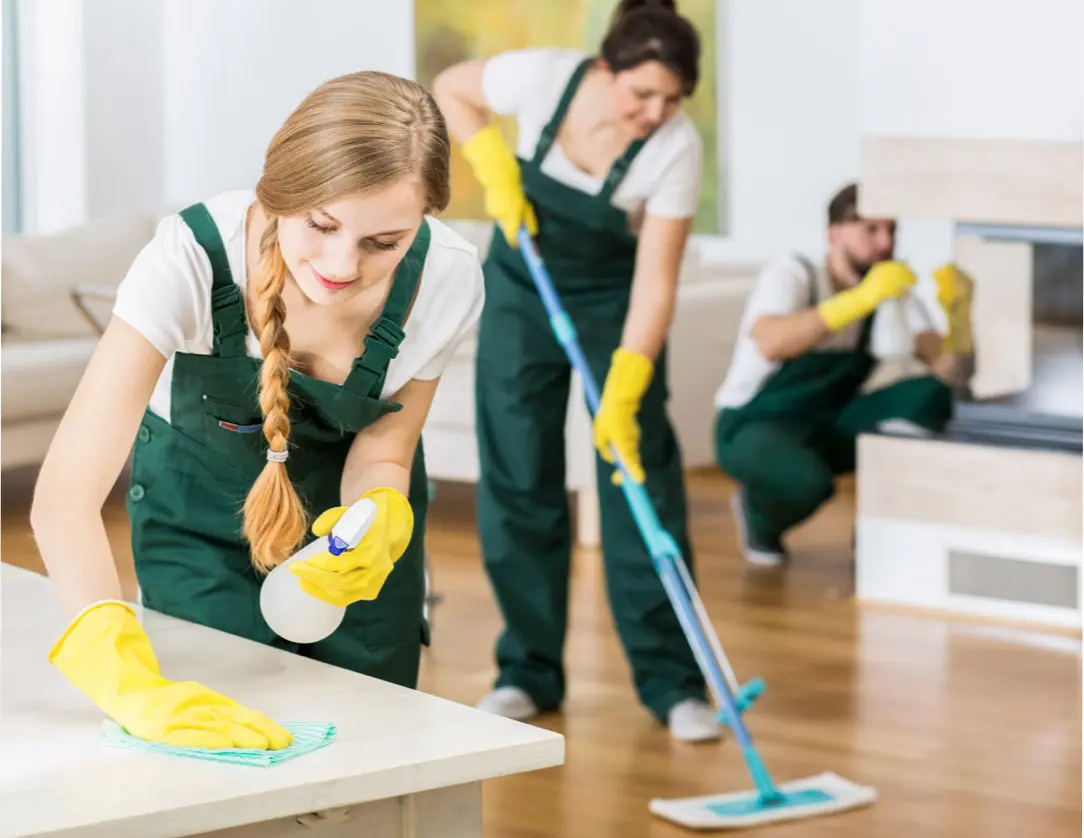 Professional cleaning team